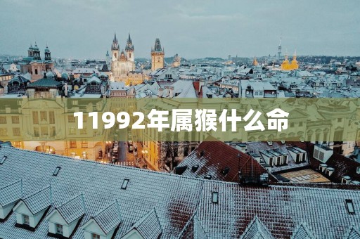 11992年属猴什么命 11992年属猴什么命