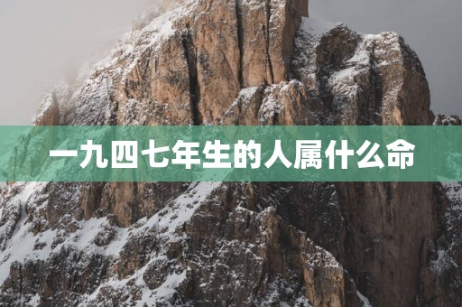 一九四七年生的人属什么命
