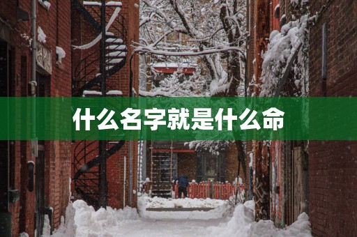 什么名字就是什么命