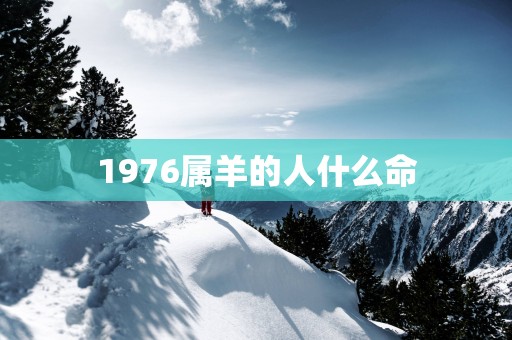 1976属羊的人什么命