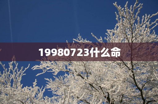 19980723什么命