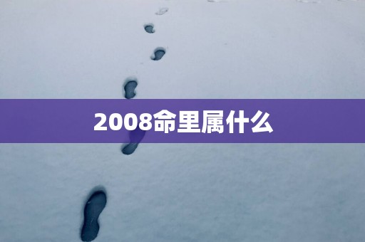 2008命里属什么
