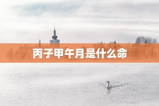 丙子甲午月是什么命