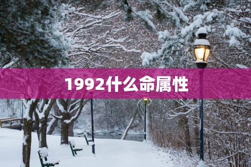 1992什么命属性