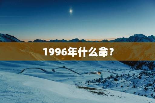 1996年什么命？