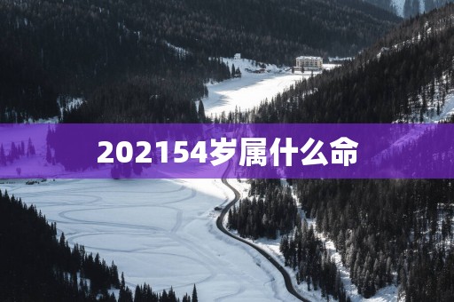 202154岁属什么命