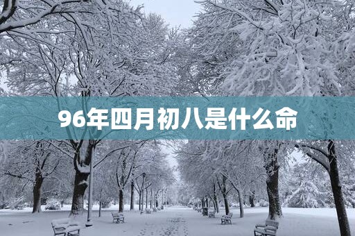 96年四月初八是什么命