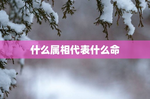 什么属相代表什么命