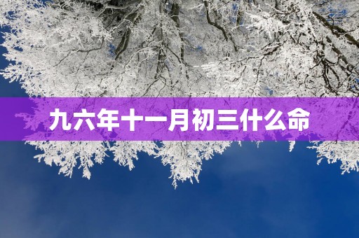 九六年十一月初三什么命