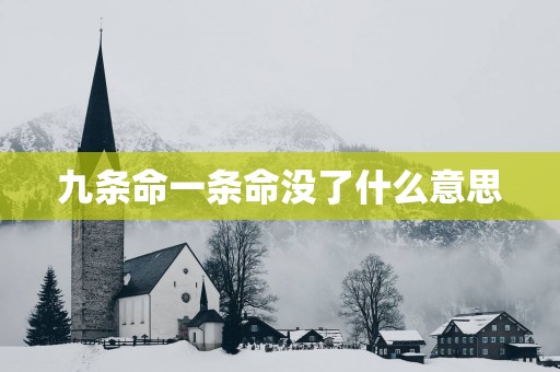 九条命一条命没了什么意思