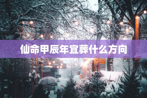 仙命甲辰年宜葬什么方向