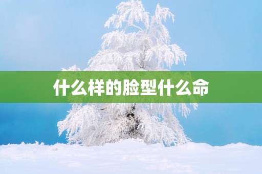 什么样的脸型什么命
