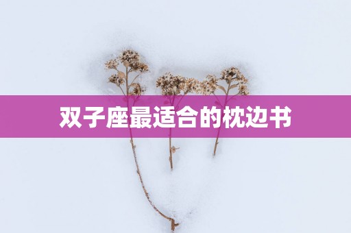 双子座最适合的枕边书