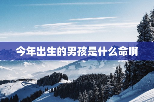 今年出生的男孩是什么命啊