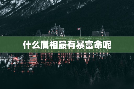 什么属相最有暴富命呢