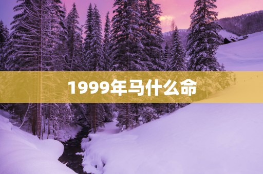 1999年马什么命