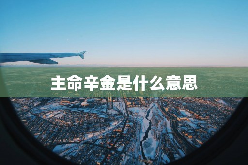 主命辛金是什么意思