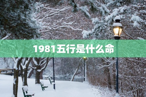 1981五行是什么命