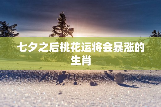 七夕之后桃花运将会暴涨的生肖