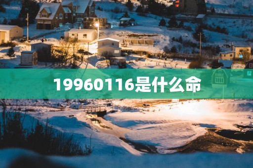 19960116是什么命