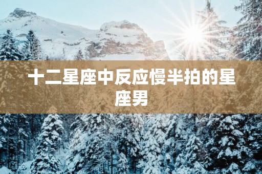 十二星座中反应慢半拍的星座男