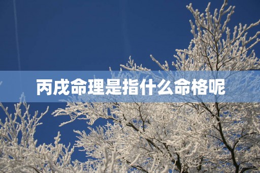 丙戌命理是指什么命格呢