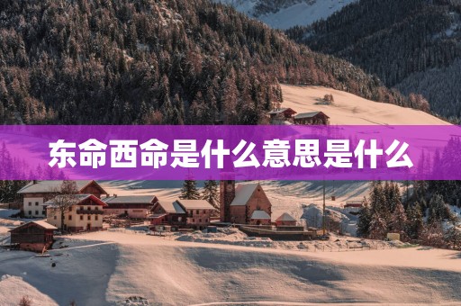 东命西命是什么意思是什么