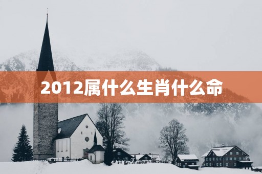 2012属什么生肖什么命