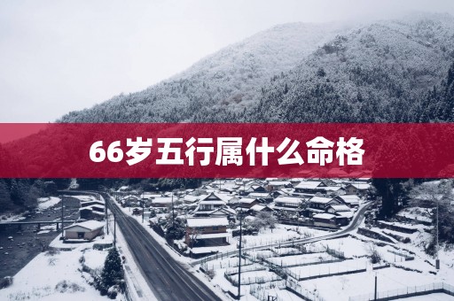 66岁五行属什么命格