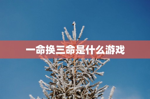 一命换三命是什么游戏