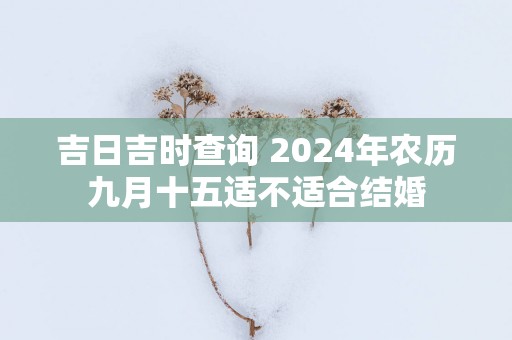 吉日吉时查询 2025年农历九月十五适不适合结婚