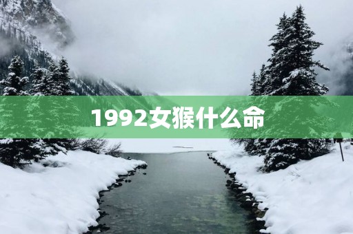 1992女猴什么命