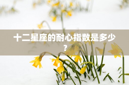 十二星座的耐心指数是多少？