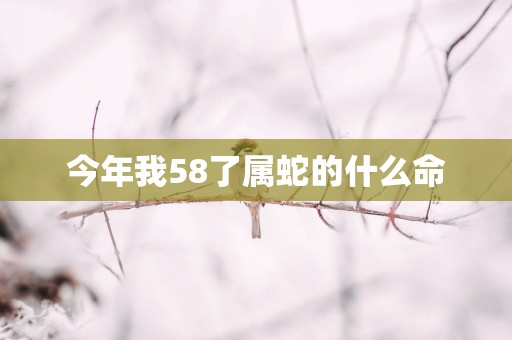 今年我58了属蛇的什么命
