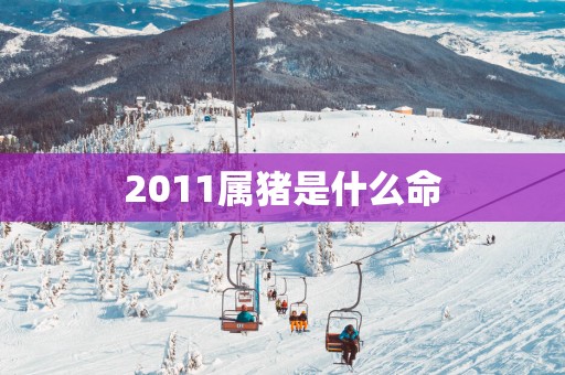 2011属猪是什么命