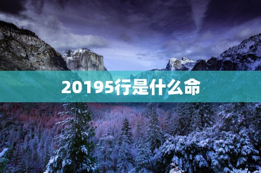 20195行是什么命