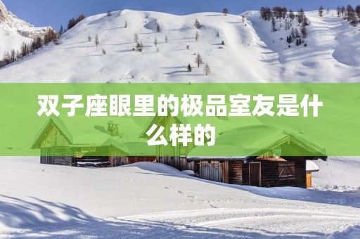 双子座眼里的极品室友是什么样的