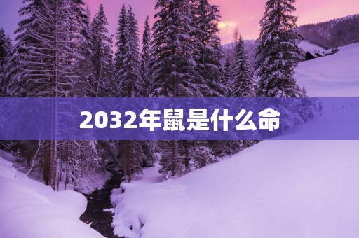 2032年鼠是什么命