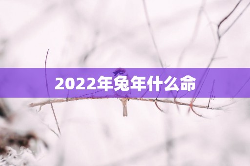 2025年蛇年什么命