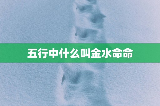 五行中什么叫金水命命