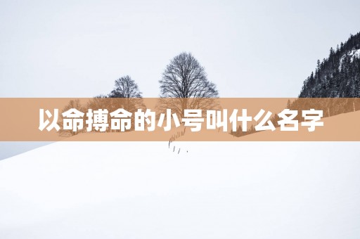 以命搏命的小号叫什么名字