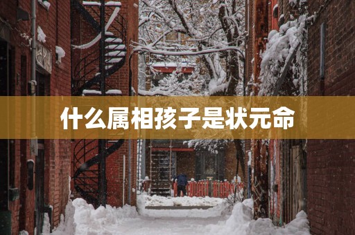 什么属相孩子是状元命