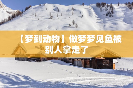【梦到动物】做梦梦见鱼被别人拿走了