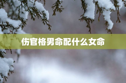 伤官格男命配什么女命