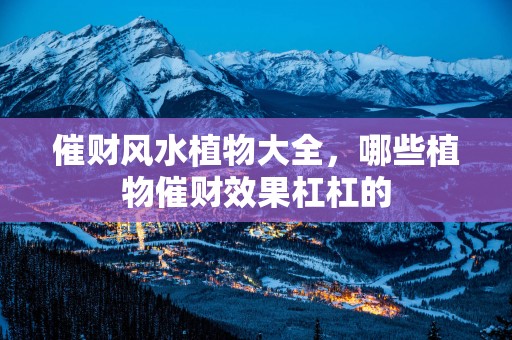 催财风水植物大全，哪些植物催财效果杠杠的