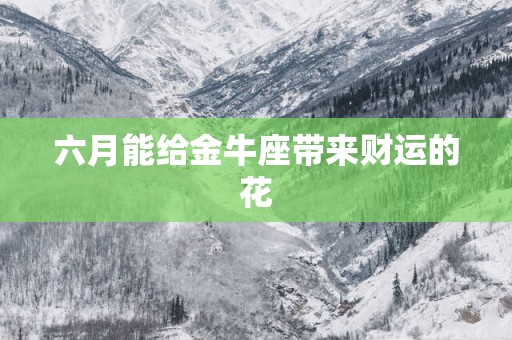 六月能给金牛座带来财运的花