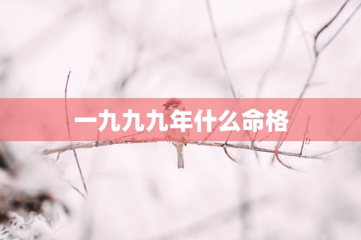 一九九九年什么命格
