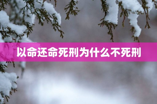 以命还命死刑为什么不死刑