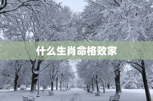 什么生肖命格败家