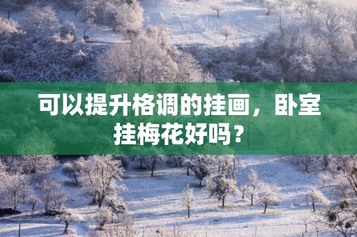 可以提升格调的挂画，卧室挂梅花好吗？